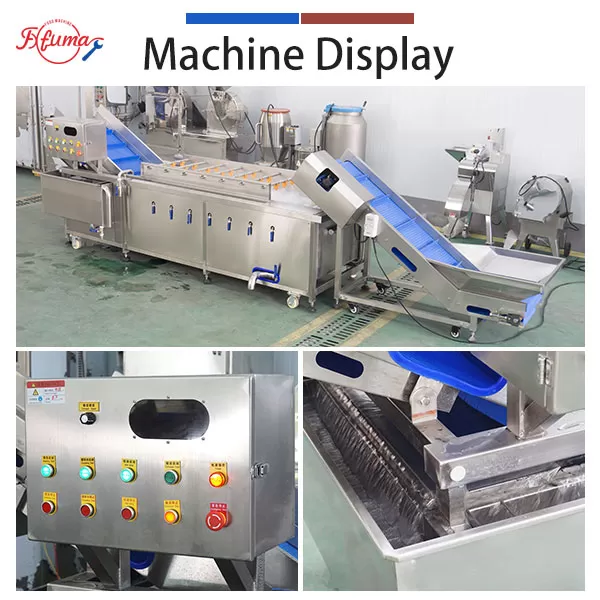 High Pressure Bubble Vegetable & Fruit Washing Machine