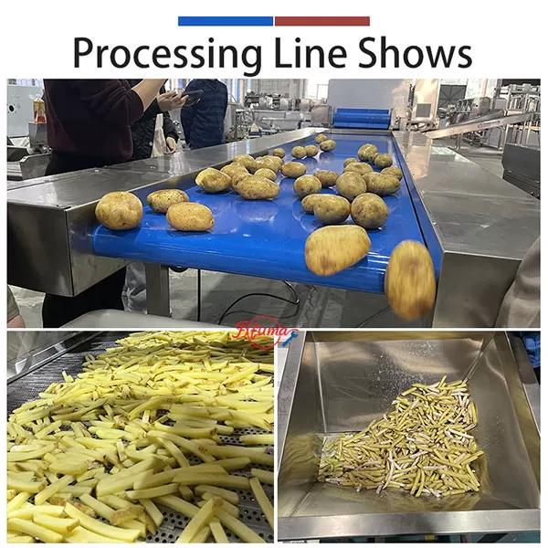 three-in-one potato processing line