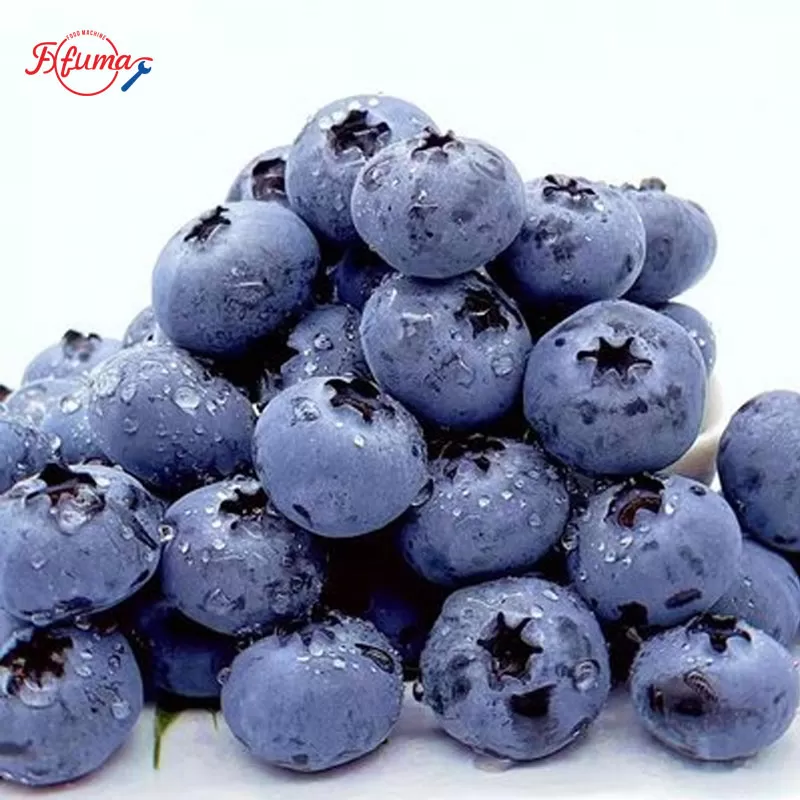 blueberry 