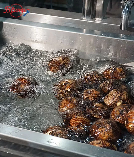 taro processing line