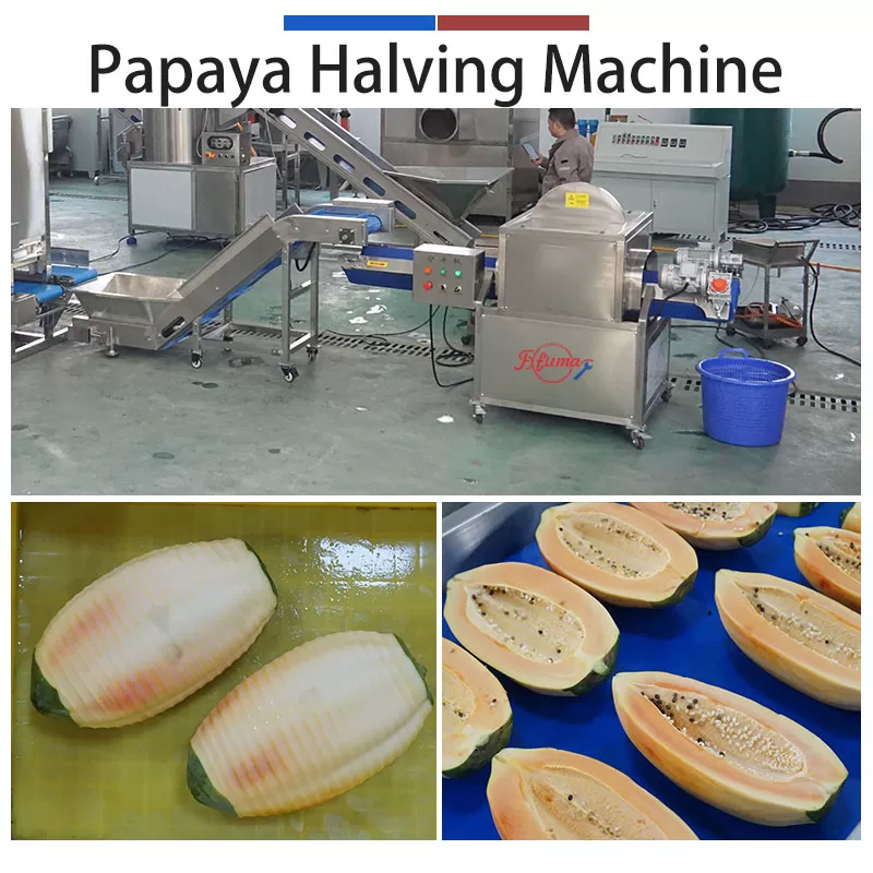 Papaya Processing Line - Peeling and Halving