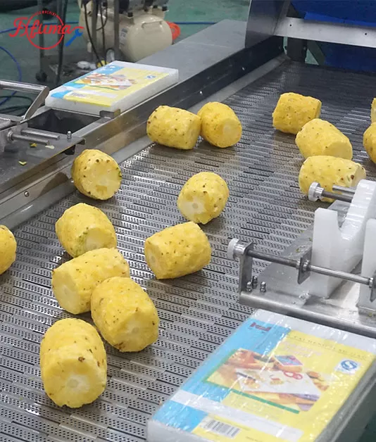 pineapple processing line