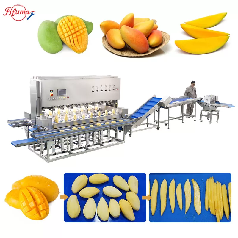 Bulk Mango Processing Line for Mango Slices