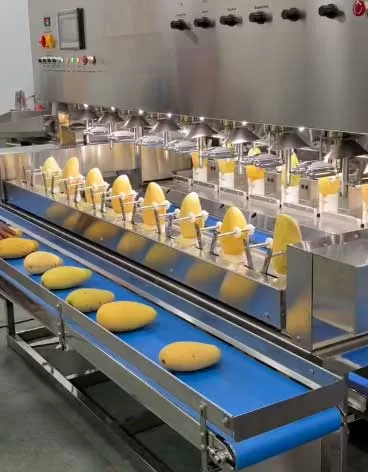 packaging service