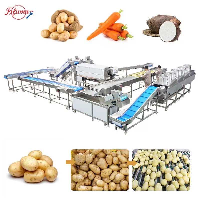 Potato Washing, Peeling and Air Drying Line, Root Vegetable Processing Solution