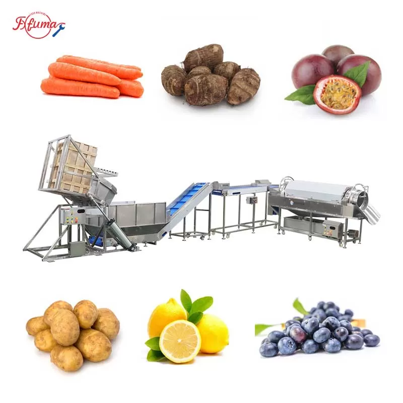 Vegetable and Fruit Dumper Hopper with Drum Washer