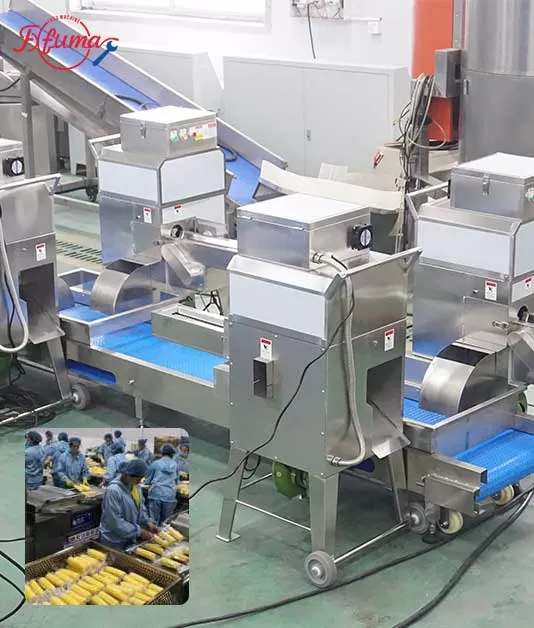 corn kernel processing  line
