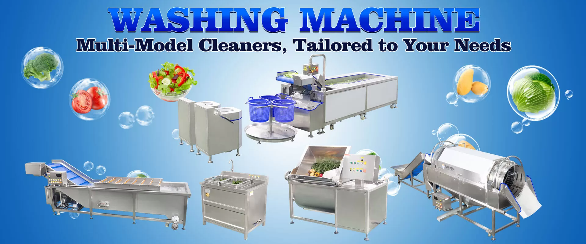 Fruit Vegetable Meat Fish Washing Machine