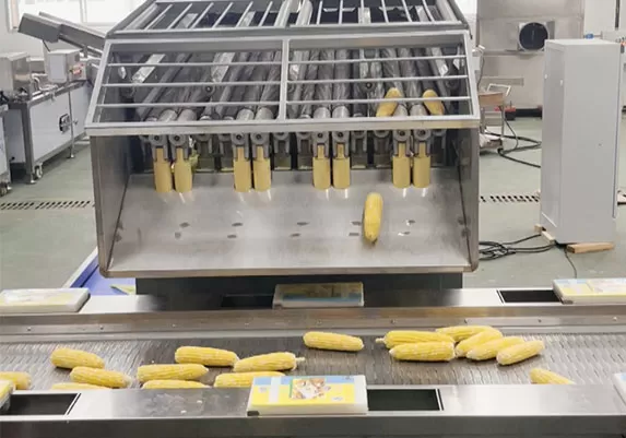 Installation and Testing of a Corn Processing Line in Ukraine