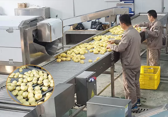 Potato Processing in Poland
