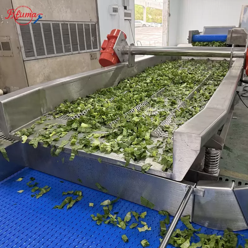 salad processing line