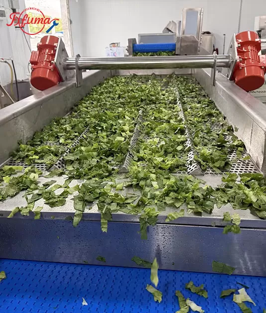 fresh cut leavy greens