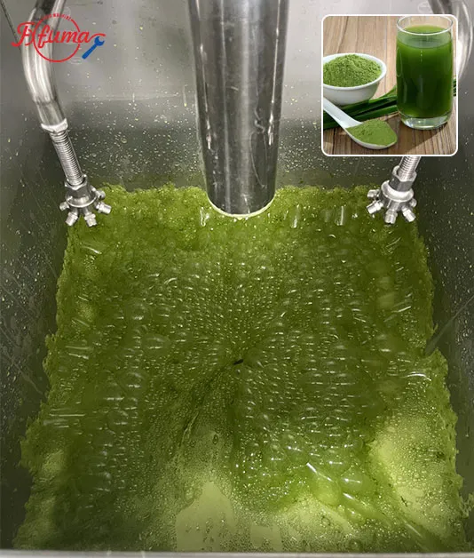 wheatgrass juice processing line