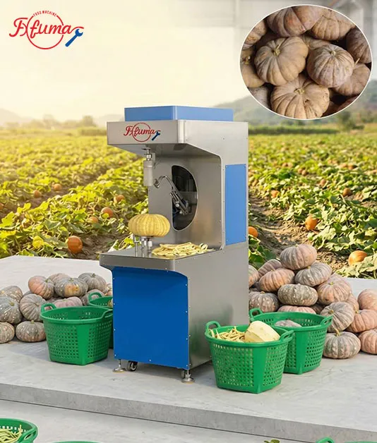 Pumpkin Processing Equipment: Complete Line for Peeling, Washing and Cutting Pumpkin Processing Equipment: Complete Line for Peeling, Washing and Cutting