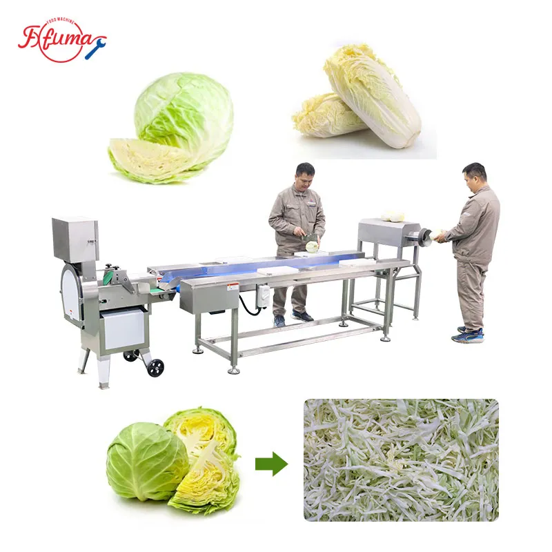 Turnkey Cabbage-to-Shred Solution