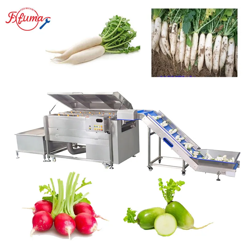 Carrot Turnip White Raddish Brush Washer Machine with Elevator and Soaking Tank