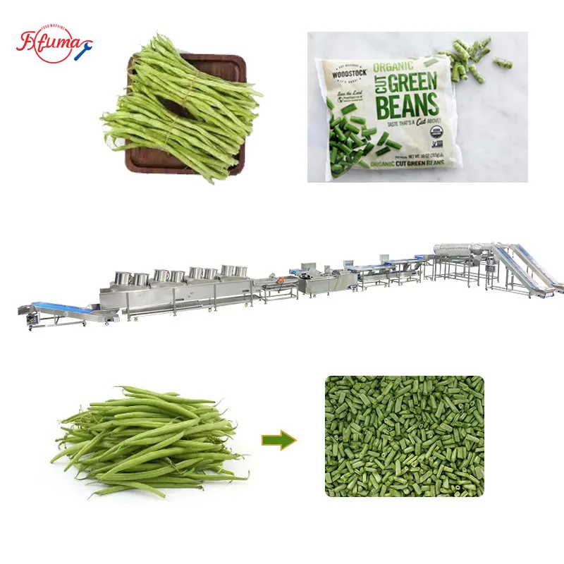 Pre-Cut Green Beans Processing Line