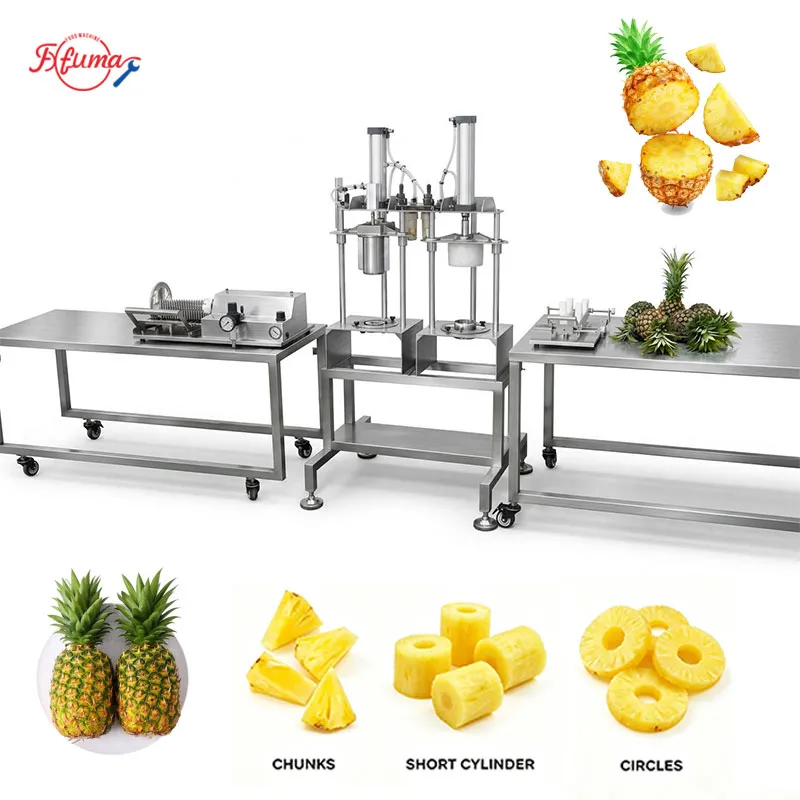 pineapple processing equipment set