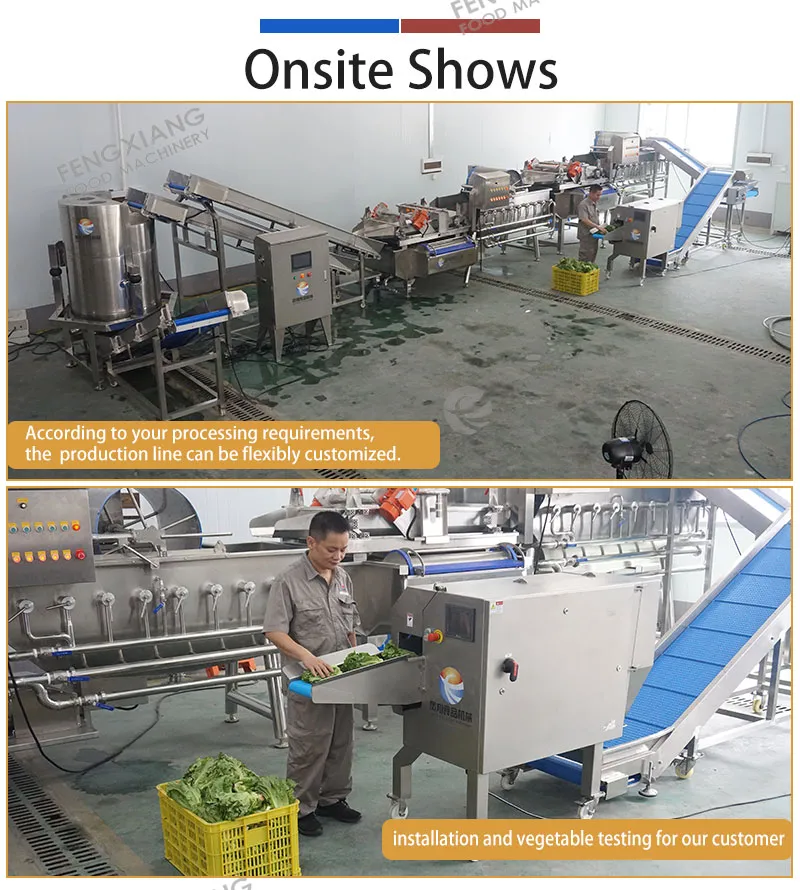 ready to cook vegetable processing line from washing to drying