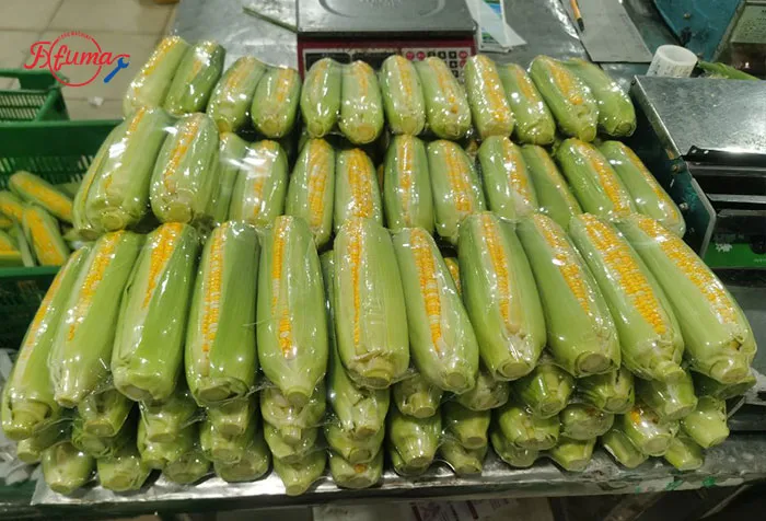 Global Corn Processing Market: 4 Regional Opportunities