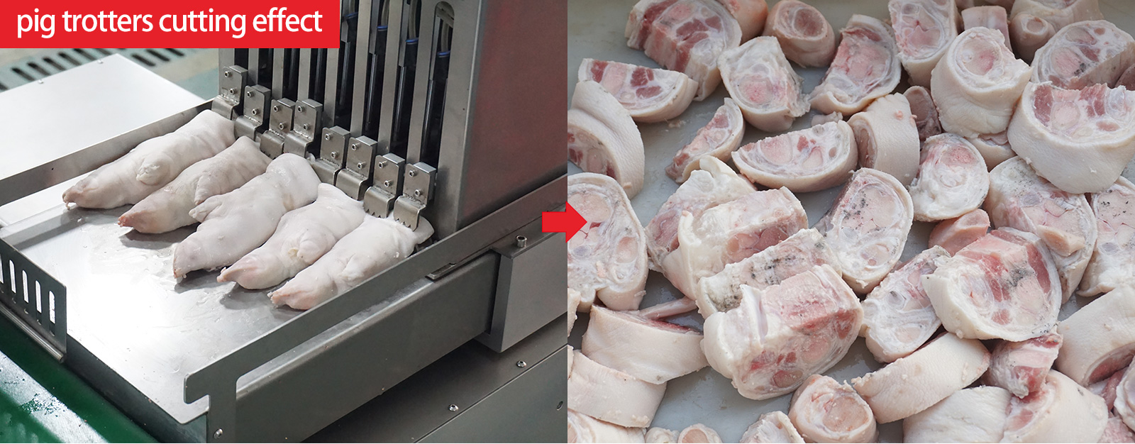 Automatic bone saw