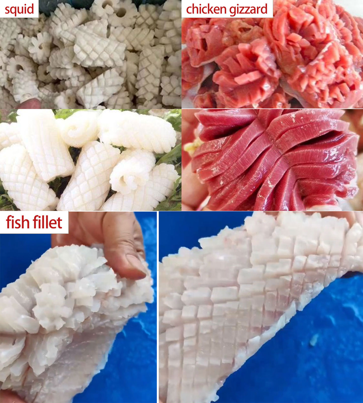 FGB-150 Squid pineapple flower cut machine fish fillet flower-cut equipment