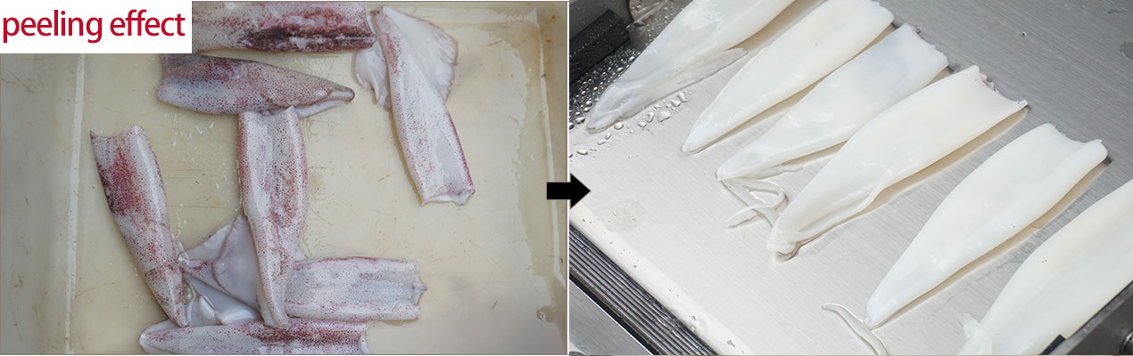 SQ-400 Squid peeling machine squid skin peeler machine