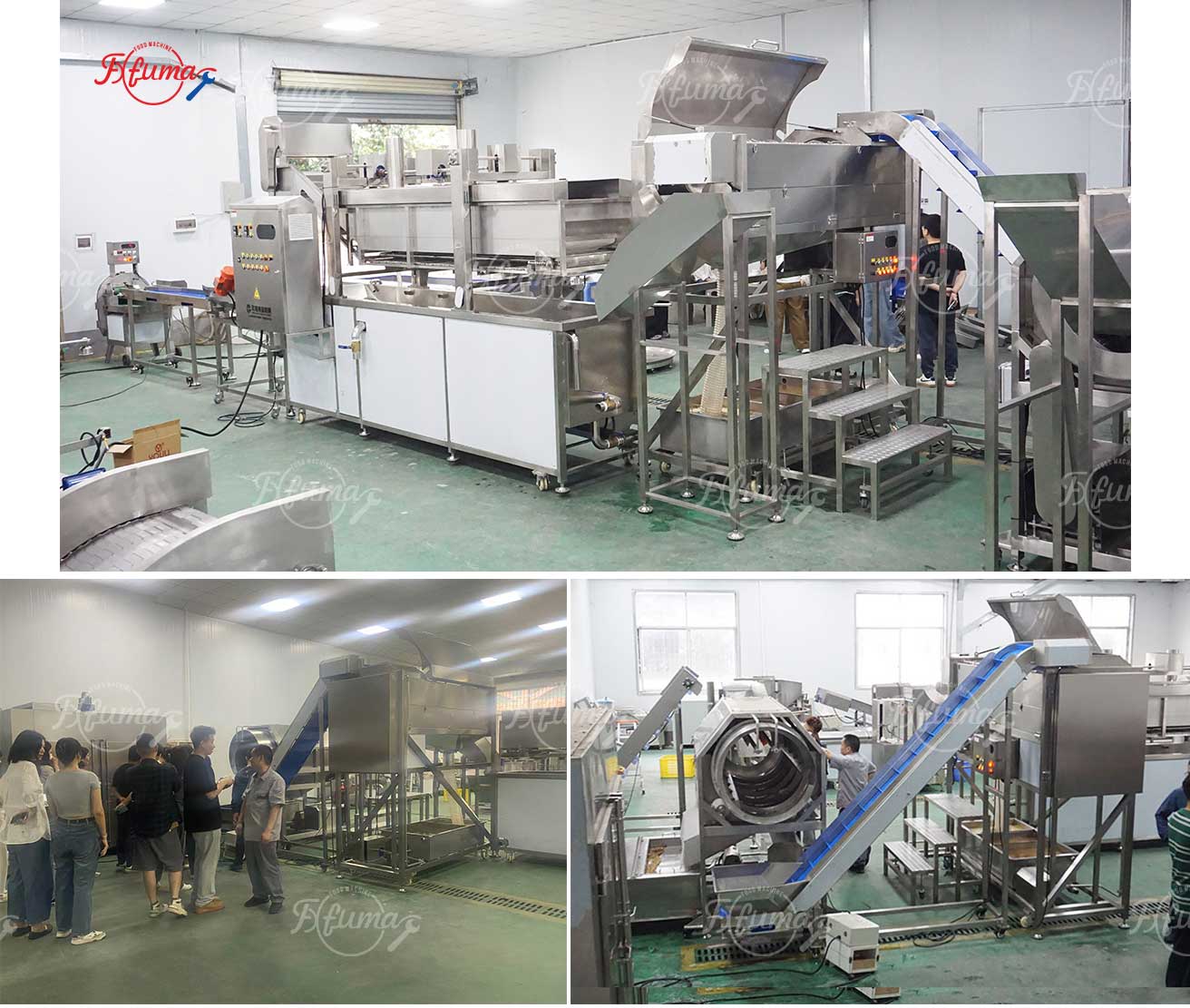 Successful Delivery of Customized Ginger Processing Production Line for Togo Client – Integrated Washing, Peeling, and Slicing with High Efficiency