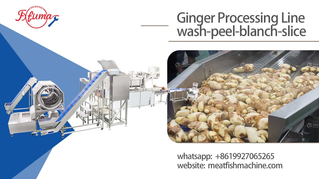 Successful Delivery of Customized Ginger Processing Production Line for Togo Client – Integrated Washing, Peeling, and Slicing with High Efficiency
