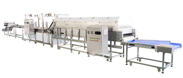 FXFM MACHINE – 20  Years in Food Machine Innovation