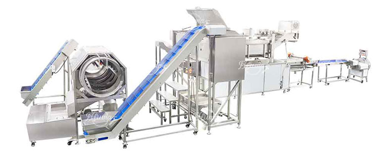 FXFM MACHINE – 20 Years in Food Machine Innovation