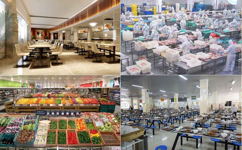 Preliminary Product Planning and Equipment Recommendations for Food Production Facilities (part 1)