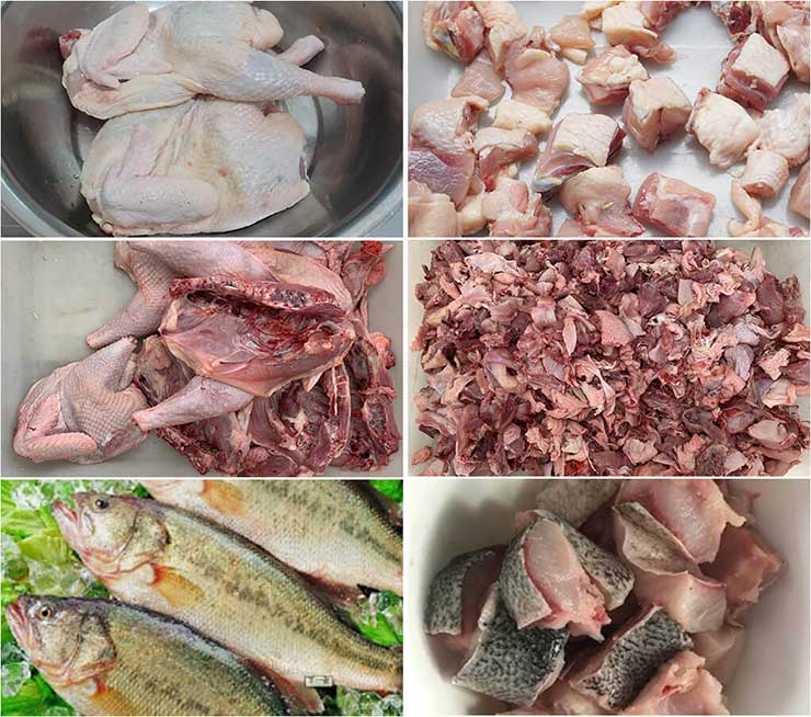 FC-300 Chicken Cutting Machine  Poultry Dicer Machine