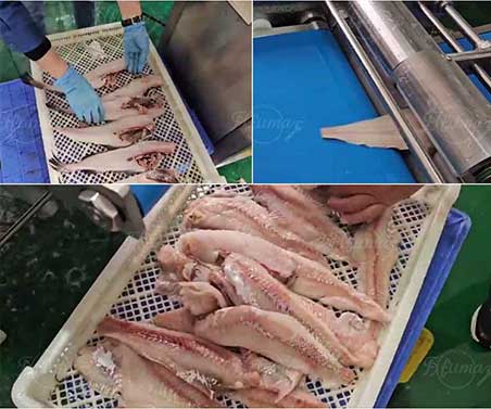 FGB-400 Automatic fish skin remover machine