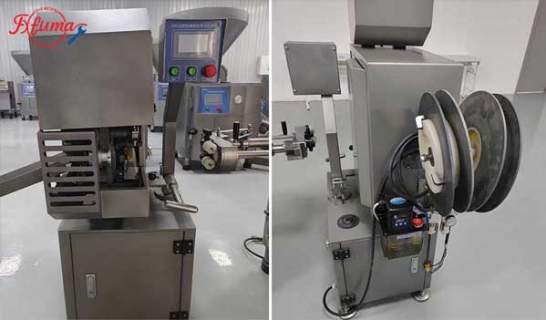Continuous vacuum sausage stuffing machine