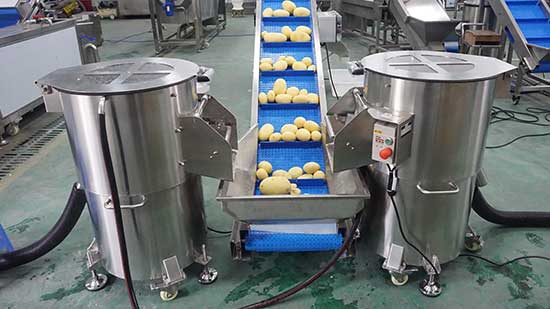 Diced Potato Processing Solution - Washing Peeling and Dicing Machine