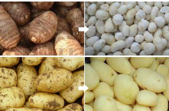 Diced Potato Processing Solution - Washing Peeling and Dicing Machine