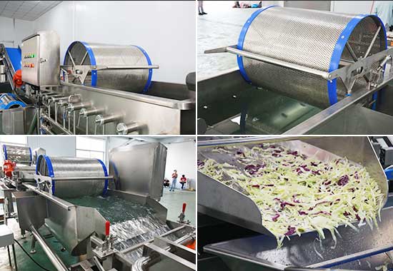 Salad Kits Production Line - Cutter, Double Washer, Centrifuge