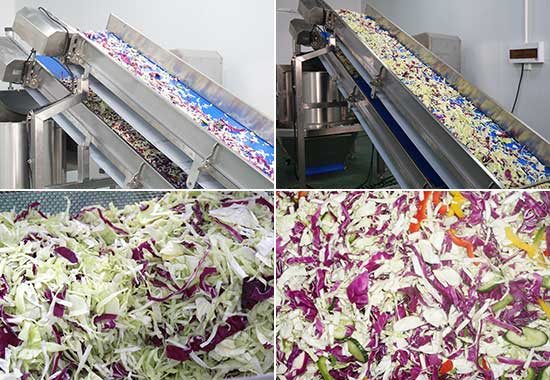 Salad Kits Production Line - Cutter, Double Washer, Centrifuge