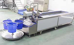 Cauliflower Broccoli Production Line - From Washing to Cutting