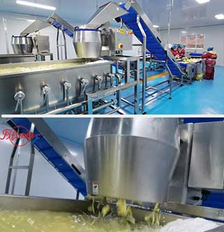 Automatic Fresh/Frozen French Fries Production Line - Washing, Peeling, Sorting, Cutting, Dewatering