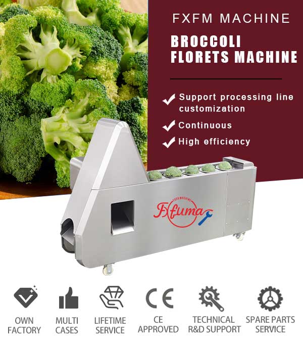 Commercial Cauliflower and Broccoli Florets Stems Cutting Machine