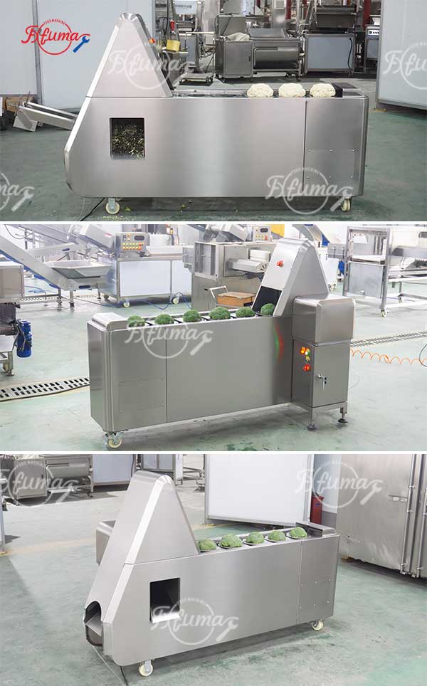 Commercial Cauliflower and Broccoli Florets Stems Cutting Machine