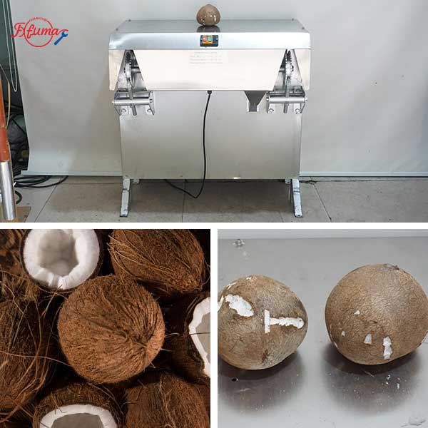 Semi-Auto Cost Effective Coconut Husking Peeling and End Trimming Machines