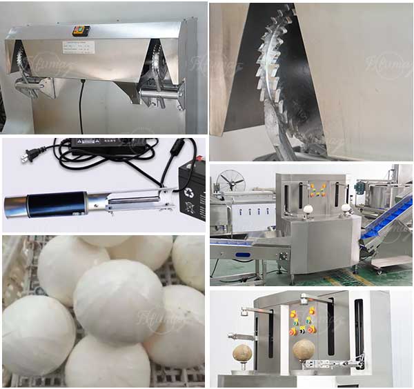 Semi-Auto Cost Effective Coconut Husking Peeling and End Trimming Machines