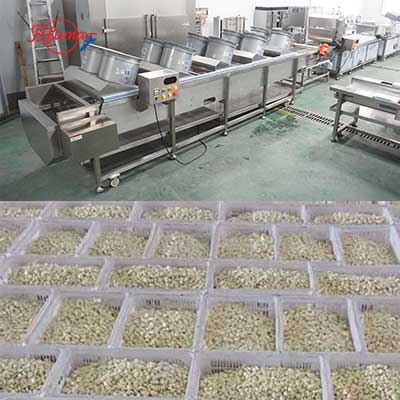 Small and Medium Scale Peeled Garlic Processing Machine Garlic Separator Peeler Washer Air-Dryer Machine
