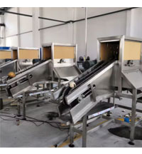 Global Coconut Processing Machines: From Manual Labor to Smart Automation