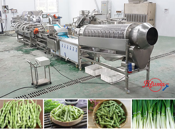 Fresh Green Beans Pre-Cutting and Pre-Cleaning Production Machine