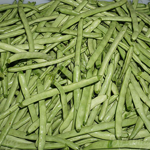 Fresh Green Beans Pre-Cutting and Pre-Cleaning Production Machine