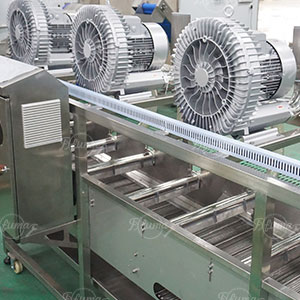 Fresh Green Beans Pre-Cutting and Pre-Cleaning Production Machine